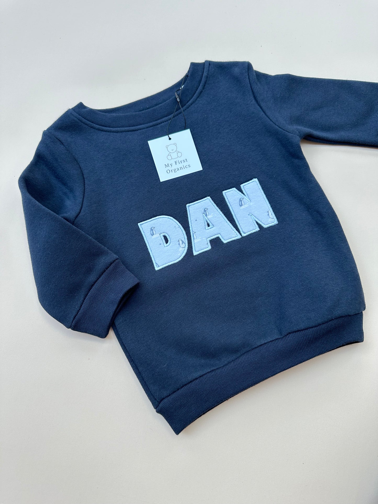 Custom Keepsake ADULT & MINI Matching Appliqué Sweaters in Block Font