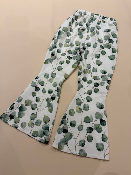 Eucalyptus flares size 18-24m